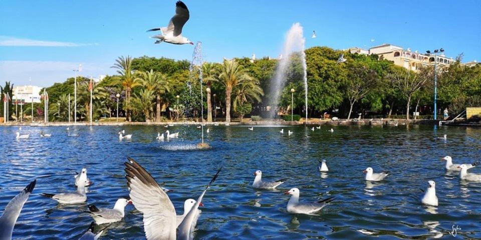Torrevieja Experience Mar 2 Apartment Ngoại thất bức ảnh